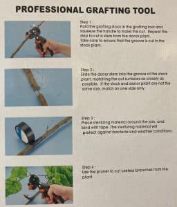Grafting Tool